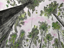 'Treetops' 107x117cm Acrylic Ink on Canvas