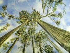 'Treetops' Acrylic Paint, Wax on Board